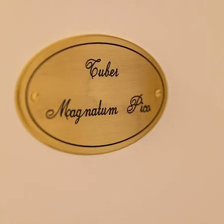Apartment Truffle House Tuscany Magnatum Pico
